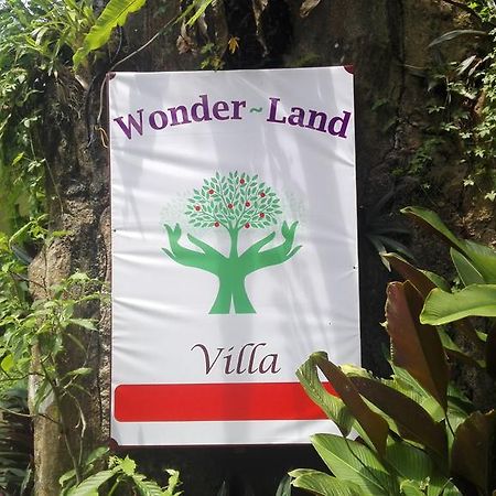 Wonder-Land Villa Ubud Exteriör bild