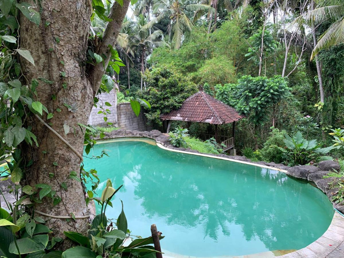 Wonder-Land Villa Ubud Exteriör bild