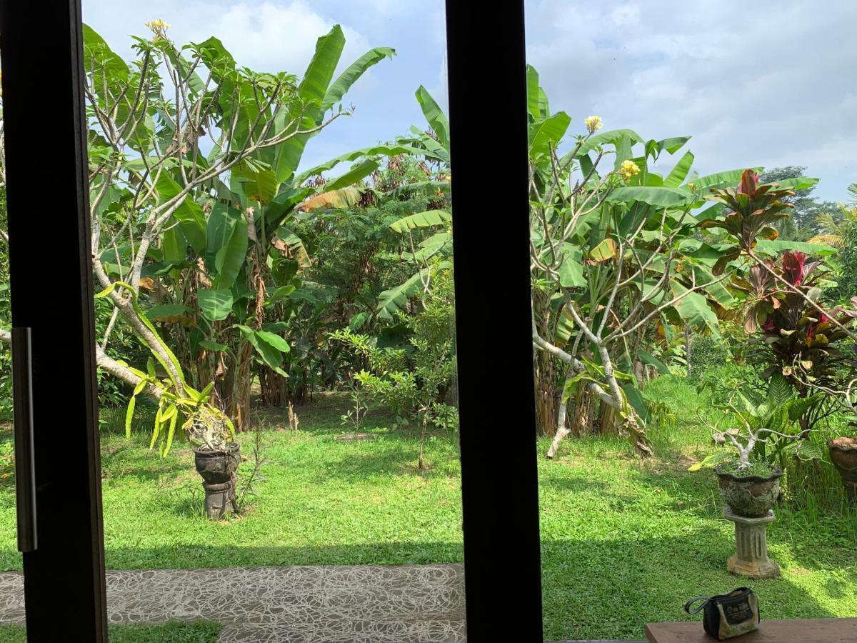 Wonder-Land Villa Ubud Exteriör bild