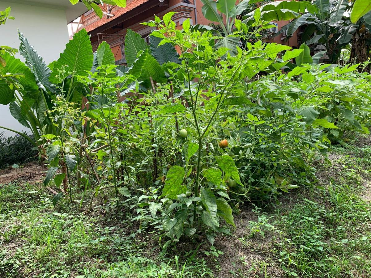 Wonder-Land Villa Ubud Exteriör bild