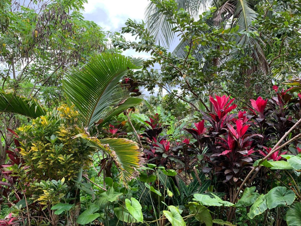 Wonder-Land Villa Ubud Exteriör bild