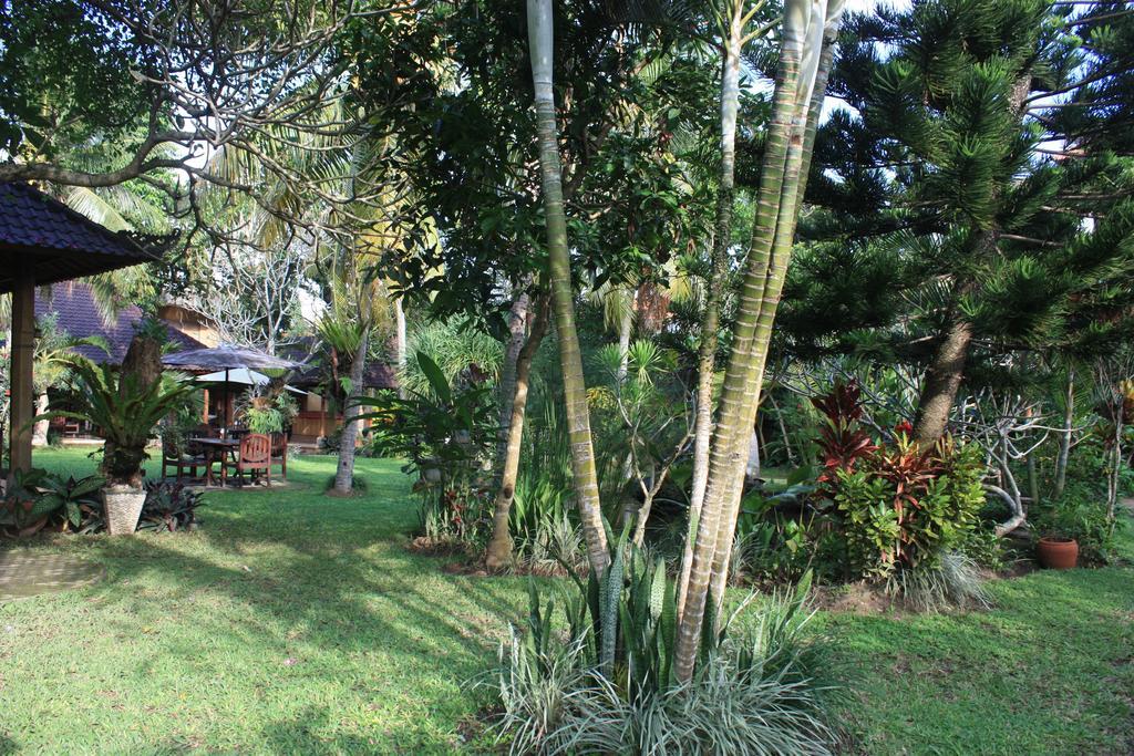 Wonder-Land Villa Ubud Exteriör bild