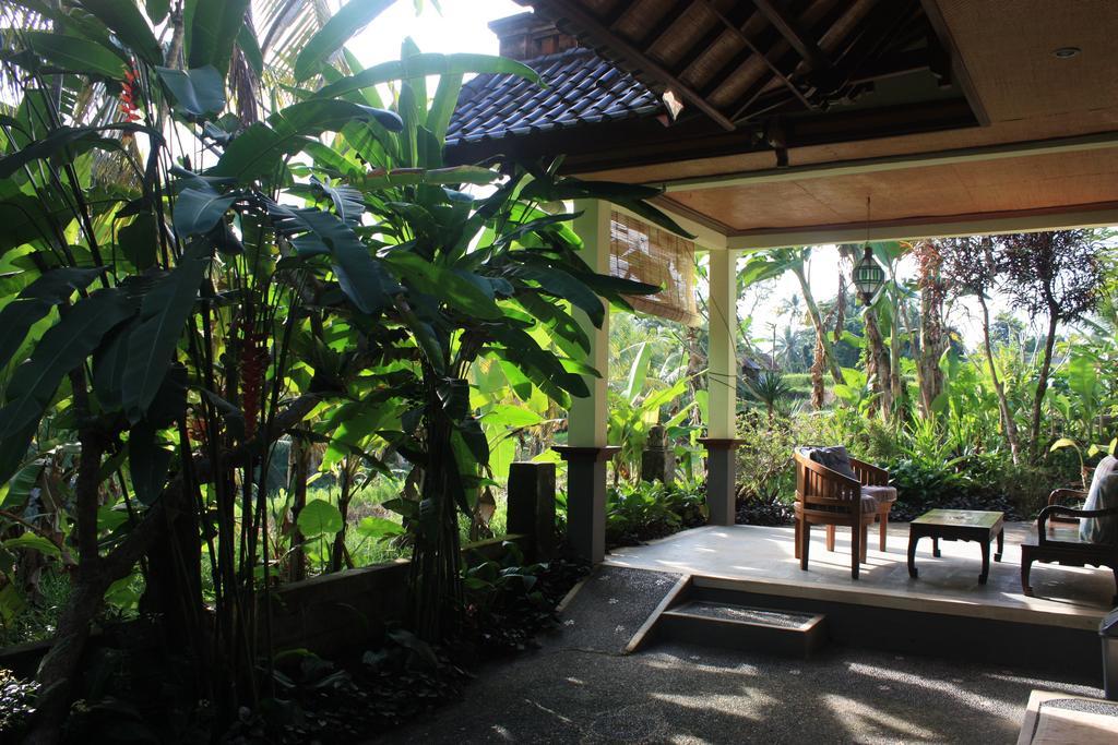 Wonder-Land Villa Ubud Exteriör bild